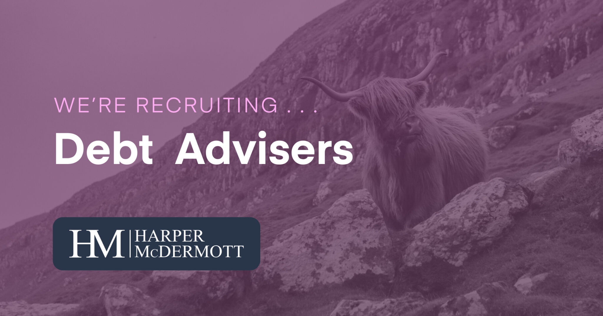 Debt Adviser (2 Vacancies)